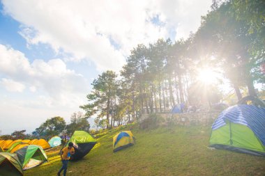 Yüksek dağ tepesinde kamp çadırı gezme grubu yaz manzarası doğada rahatlar.