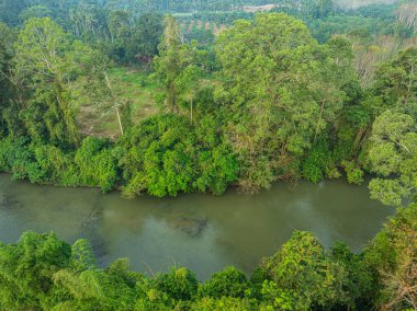 Tropikal yağmur ormanları içinden geçen hava manzaralı kanal nehri. Gün doğumu doğa ekoloji sistemi.