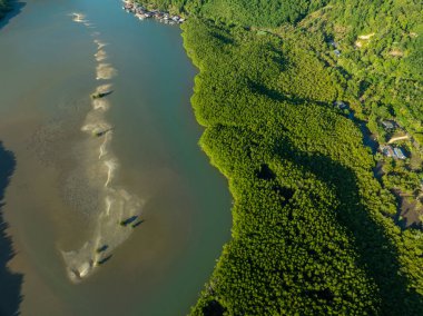 Hava manzaralı yeşil mangrov ormanları deniz koyları ekolojik doğa tropikal ormanlar