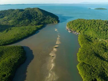 Hava manzaralı yeşil mangrov ormanları deniz koyları ekolojik doğa tropikal ormanlar