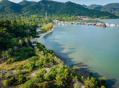 Deniz kıyısındaki tropik hindistan cevizi palmiye ağaçları yaz tatili arka planında beyaz kumsal dalgası