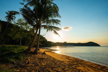 Gün batımı tropikal yeşil ağaç ormanları arasında ada sahili doğa manzarası