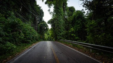 Tropik dağlardaki asfalt kırsal yol doğa manzarasında seyahat eder.