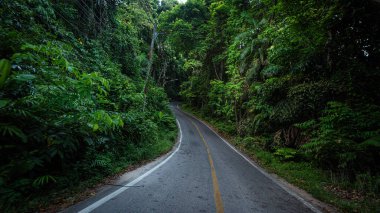 Tropik dağlardaki asfalt kırsal yol doğa manzarasında seyahat eder.