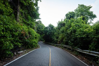 Tropik dağlardaki asfalt kırsal yol doğa manzarasında seyahat eder.