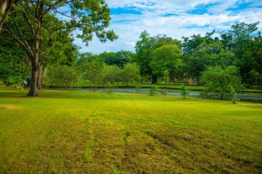 Yeşil çayır ağacı şehir parkı mavi gökyüzü doğa manzarasını bulutlandırıyor