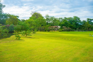 Yeşil çayır ağacı şehir parkı mavi gökyüzü doğa manzarasını bulutlandırıyor