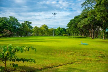 Yeşil çayır ağacı şehir parkı mavi gökyüzü doğa manzarasını bulutlandırıyor
