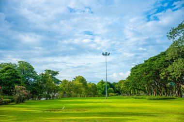 Yeşil çayır ağacı şehir parkı mavi gökyüzü doğa manzarasını bulutlandırıyor