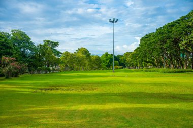 Yeşil çayır ağaç parkı Bulutlu mavi gökyüzü
