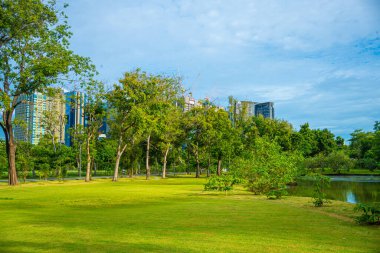 Yeşil çayır ağacı şehir parkı mavi gökyüzü doğa manzarasını bulutlandırıyor