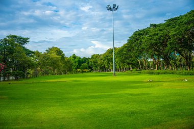 Yeşil çayır ağacı şehir parkı mavi gökyüzü doğa manzarasını bulutlandırıyor