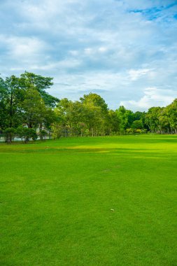 Yeşil çayır ağacı şehir parkı mavi gökyüzü doğa manzarasını bulutlandırıyor