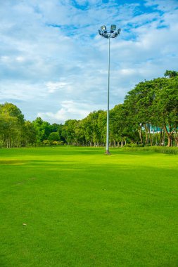Yeşil çayır ağaç parkı Bulutlu mavi gökyüzü