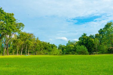 Yeşil çayır ağaç parkı Bulutlu mavi gökyüzü