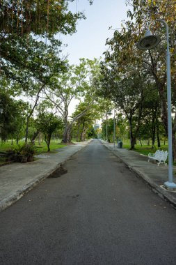 Yeşil Ağaç Şehri 'ndeki yol şehir yolu inşaatı ile halka açık park günbatımı ışığı