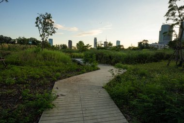 Yeşil Ağaç Şehri 'ndeki yol şehir yolu inşaatı ile halka açık park günbatımı ışığı