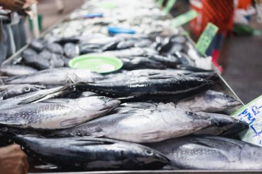 Çeşitli ton balıkları balıkçılık taze gıda endüstrisinde satılıyor.
