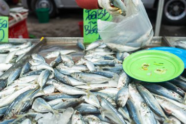 Çeşitli ton balıkları balıkçılık taze gıda endüstrisinde satılıyor.