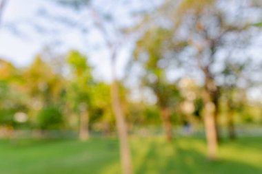 Soyut bulanık yeşil ağaç ormanı açık hava parkı yeşillik arka planı