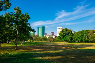 Şehir Parkı yeşil çim arka plan şehir manzarası ile mavi gökyüzü altında