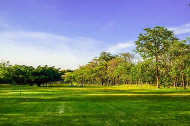 Şehir parkındaki yeşil ağaçlı çayır arazisi mavi gökyüzü, doğa yeşili sahne arka planı.
