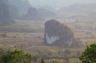 Doğa manzarası, sabah güneşi, dağ yeşil ormanında sis çayırı.