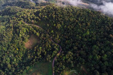 Dağlık yeşil orman sabah güneşi Tayland 'ın kuzeyindeki doğa manzarası yükseliyor.