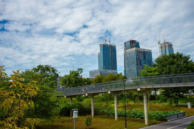 Bangkok Tayland 'da doğa manzarası şehri inşa eden yeşil tropik bataklık ormanı