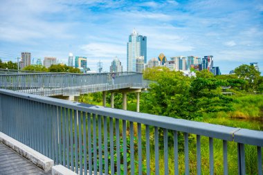 Bangkok Tayland 'da doğa manzarası şehri inşa eden yeşil tropik bataklık ormanı
