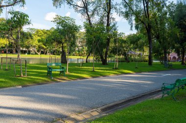 Asfalt yol şehir yeşil ağaç parkında gün batımı doğa manzarası