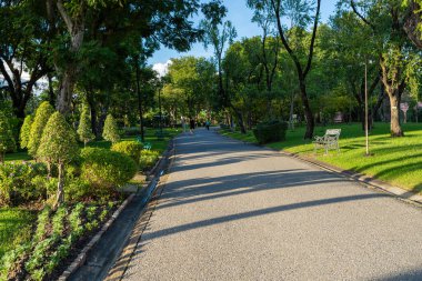 Asfalt yol şehir yeşil ağaç parkında gün batımı doğa manzarası