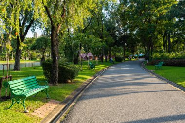 Asfalt yol şehir yeşil ağaç parkında gün batımı doğa manzarası