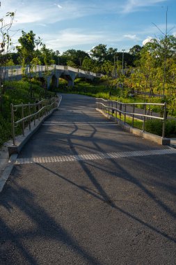 Asfalt yol şehir yeşil ağaç parkında gün batımı doğa manzarası