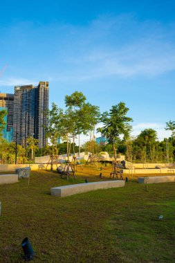 Şehir parkında yeşil ağaç ormanı. Bangkok Tayland 'da ofis binası var.