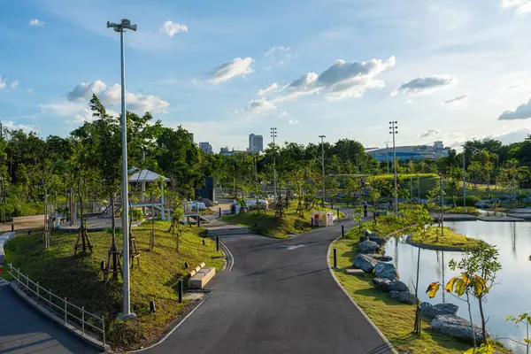 Asfalt yol şehir yeşil ağaç parkında gün batımı doğa manzarası