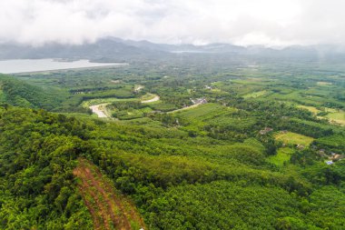 Hava manzaralı tropik yağmur ormanı dağ nehir doğası Tayland manzarası