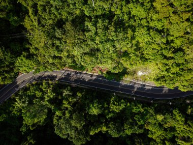 Doğada tropikal yağmur ormanları üzerinde hava manzarası eğri bir yol oluşturur.