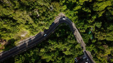 Doğada tropikal yağmur ormanları üzerinde hava manzarası eğri bir yol oluşturur.