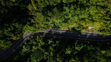 Doğada tropikal yağmur ormanları üzerinde hava manzarası eğri bir yol oluşturur.