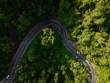 Doğada tropikal yağmur ormanları üzerinde hava manzarası eğri bir yol oluşturur.