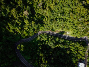 Doğada tropikal yağmur ormanları üzerinde hava manzarası eğri bir yol oluşturur.