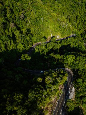 Doğada tropikal yağmur ormanları üzerinde hava manzarası eğri bir yol oluşturur.