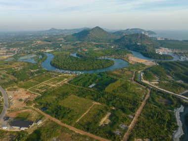 Hava manzaralı tropikal yeşil ağaç mangrov orman nehrinden deniz körfezi doğa ekoloji sistemine