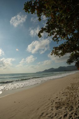 Egzotik beyaz kumlu sahil dalgası güneşli yaz tatili arka planı Samui Tayland