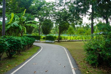 Yol boyunca yürü yeşil tropikal ağaç ormanı doğa halk parkı yağmur mevsimi