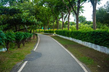 Yol boyunca yürü yeşil tropikal ağaç ormanı doğa halk parkı yağmur mevsimi