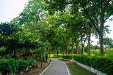 Yol boyunca yürü yeşil tropikal ağaç ormanı doğa halk parkı yağmur mevsimi