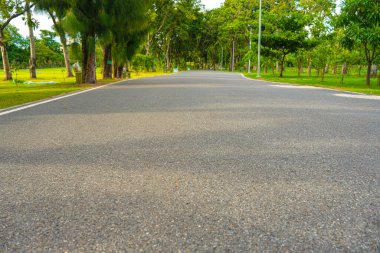 Yol boyunca yürü yeşil tropikal ağaç ormanı doğa halk parkı yağmur mevsimi