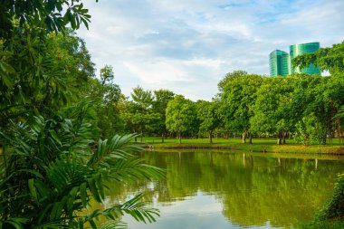 Yeşil şehir parkı nehir tropikal orman yeşil ağaç arka planı Bangkok Tayland